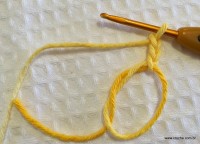 Flor anis dupla passo a passo - www.croche.com (2)