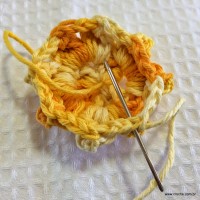 Flor anis dupla passo a passo - www.croche.com (20)