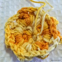 Flor anis dupla passo a passo - www.croche.com (21)