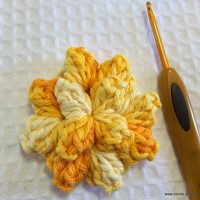 Flor anis dupla passo a passo - www.croche.com (22)