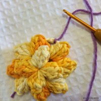 Flor anis dupla passo a passo - www.croche.com (23)