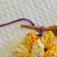 Flor anis dupla passo a passo - www.croche.com (24)