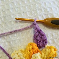 Flor anis dupla passo a passo - www.croche.com (25)