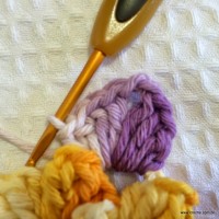 Flor anis dupla passo a passo - www.croche.com (27)