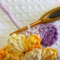 Flor anis dupla passo a passo - www.croche.com (28)