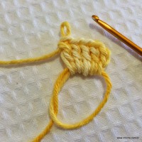 Flor anis dupla passo a passo - www.croche.com (3)