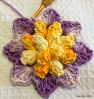 Flor anis dupla passo a passo - www.croche.com (30)