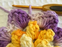 Flor anis dupla passo a passo - www.croche.com (31)