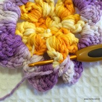Flor anis dupla passo a passo - www.croche.com (32)