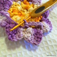Flor anis dupla passo a passo - www.croche.com (33)