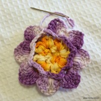 Flor anis dupla passo a passo - www.croche.com (34)