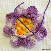Flor anis dupla passo a passo - www.croche.com (35)