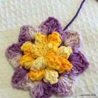 Flor anis dupla passo a passo - www.croche.com (36)