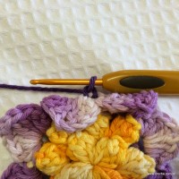 Flor anis dupla passo a passo - www.croche.com (37)