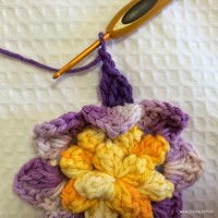 Flor anis dupla passo a passo - www.croche.com (39)