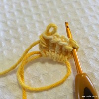 Flor anis dupla passo a passo - www.croche.com (4)