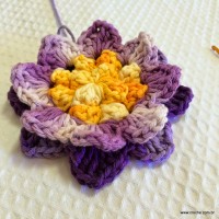 Flor anis dupla passo a passo - www.croche.com (42)