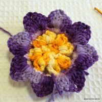 Flor anis dupla passo a passo - www.croche.com (43)