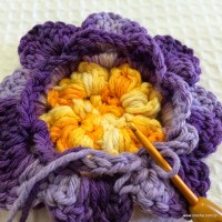 Flor anis dupla passo a passo - www.croche.com (44)
