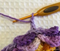 Flor anis dupla passo a passo - www.croche.com (45)