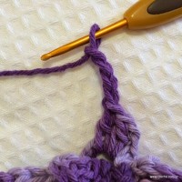 Flor anis dupla passo a passo - www.croche.com (46)