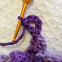 Flor anis dupla passo a passo - www.croche.com (48)