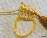 Flor anis dupla passo a passo - www.croche.com (5)