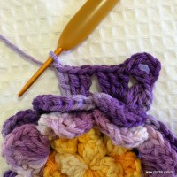 Flor anis dupla passo a passo - www.croche.com (50)