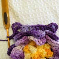 Flor anis dupla passo a passo - www.croche.com (51)