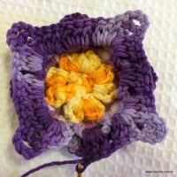 Flor anis dupla passo a passo - www.croche.com (52)