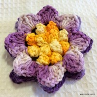 Flor anis dupla passo a passo - www.croche.com (54)