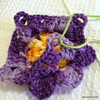 Flor anis dupla passo a passo - www.croche.com (55)