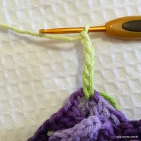 Flor anis dupla passo a passo - www.croche.com (56)