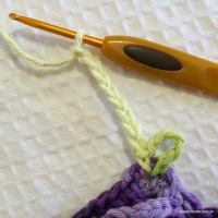 Flor anis dupla passo a passo - www.croche.com (57)