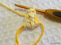 Flor anis dupla passo a passo - www.croche.com (6)