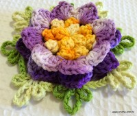 Flor anis dupla passo a passo - www.croche.com (61)