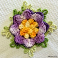 Flor anis dupla passo a passo - www.croche.com (62)