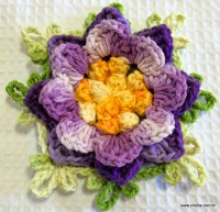 Flor anis dupla passo a passo - www.croche.com (63)
