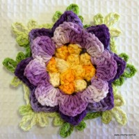 Flor anis dupla passo a passo - www.croche.com (64)