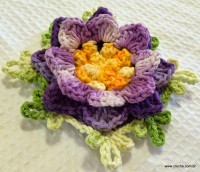 Flor anis dupla passo a passo - www.croche.com (65)