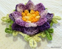 Flor anis dupla passo a passo - www.croche.com (66)