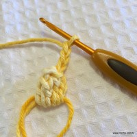 Flor anis dupla passo a passo - www.croche.com (7)