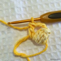Flor anis dupla passo a passo - www.croche.com (8)