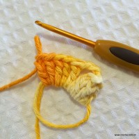 Flor anis dupla passo a passo - www.croche.com (9)