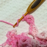 Flor azaléia passo a passo - www.croche.com (23)