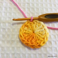 Flor bergamota passo a passo - www.croche.com (12)