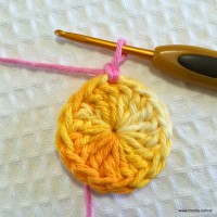 Flor bergamota passo a passo - www.croche.com (13)