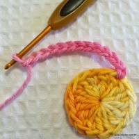 Flor bergamota passo a passo - www.croche.com (14)