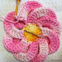 Flor bergamota passo a passo - www.croche.com (33)