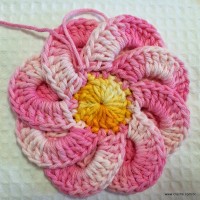 Flor bergamota passo a passo - www.croche.com (34)